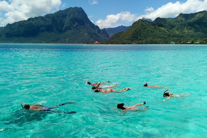 Land and Sea cultural tour to discover traditions, heritage and the lagoon - A private cultural center without a staged show