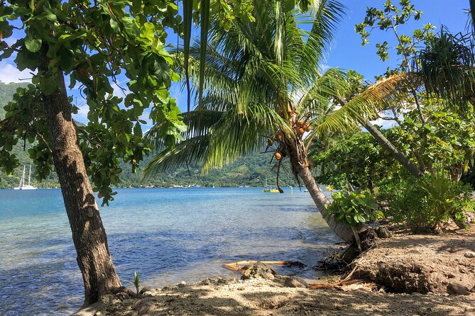 Land and Sea cultural tour to discover traditions, heritage and the lagoon - What $173.69 buys you