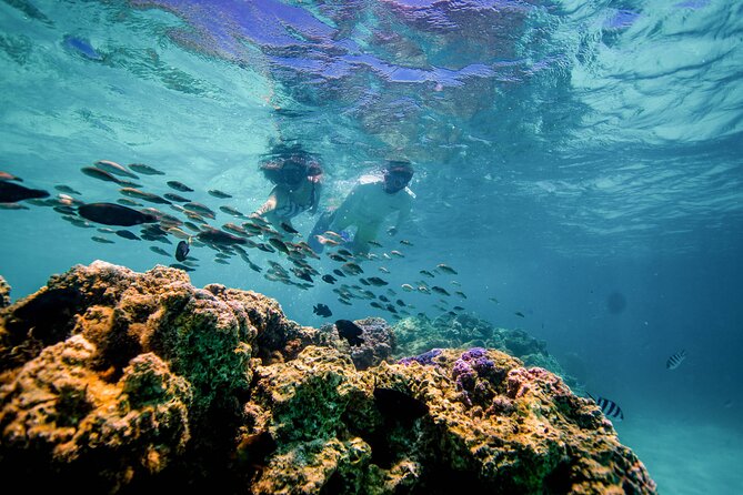 LUXURY PRIVATE Catamaran Bora Bora : Full-Day Trip - Who Will Enjoy This Catamaran Most