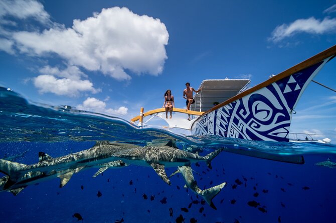 Luxury Private full day tour & Motu lunch in Bora-Bora - The 9:00 a.m. start and the morning on the lagoon