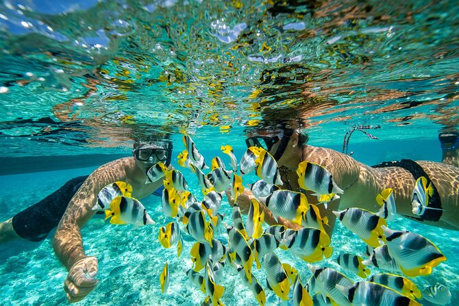 Luxury Private full day tour with Lunch on Board - Ray adds more than boat directions