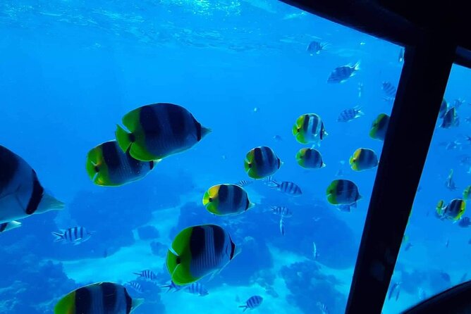 Magical Boat Tour with Underwater Cabin in Bora Bora! - Fruit skewers, coffee, tea, and a relaxed pace