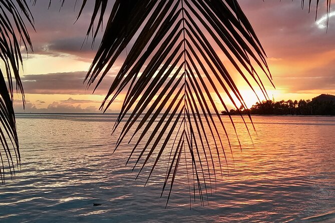 Magical Boat Tour with Underwater Cabin in Bora Bora! - Is $210.10 a fair price?