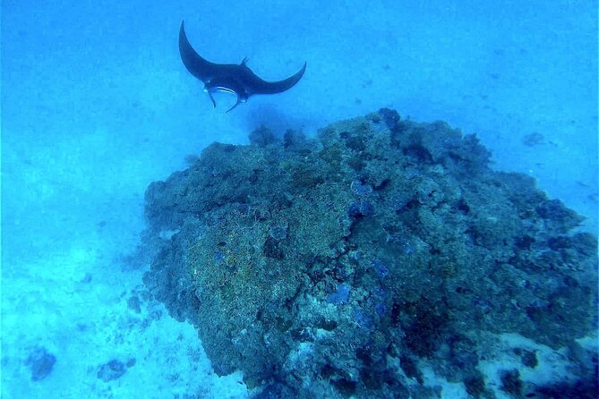 Magical Boat Tour with Underwater Cabin in Bora Bora! - The 8:30 a.m. pickup and start