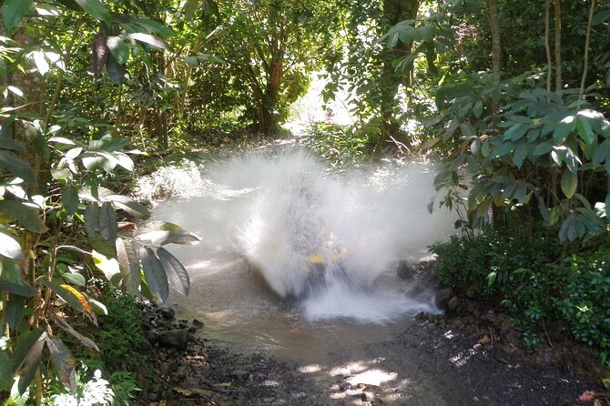 Medium Combo in Moorea of 2 hours of Jetski and 2h30 of Quad - A local tasting at Fare Tutava