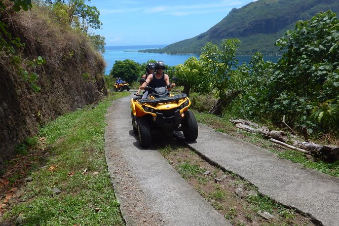 Medium Combo in Moorea of 2 hours of Jetski and 2h30 of Quad - Swimming with rays, fish, and blacktip sharks