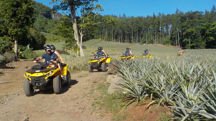 Mo'orea: Guided ATV Nature Tour - Crossing rivers and fruit plantations