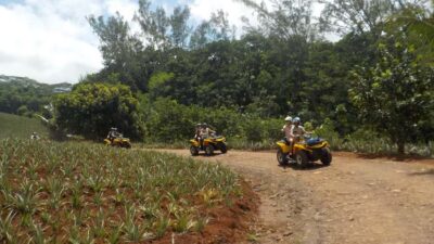 Mo’orea: Guided ATV Nature Tour