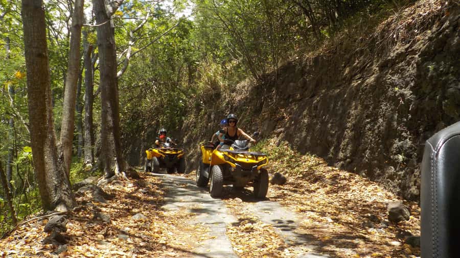 Mo'orea: Guided ATV Nature Tour - Returning through the fields to Opunohu Bay
