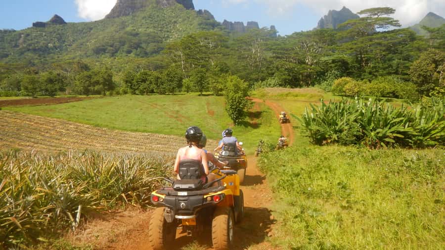 Mo'orea: Guided ATV Nature Tour - What the $123 price really covers