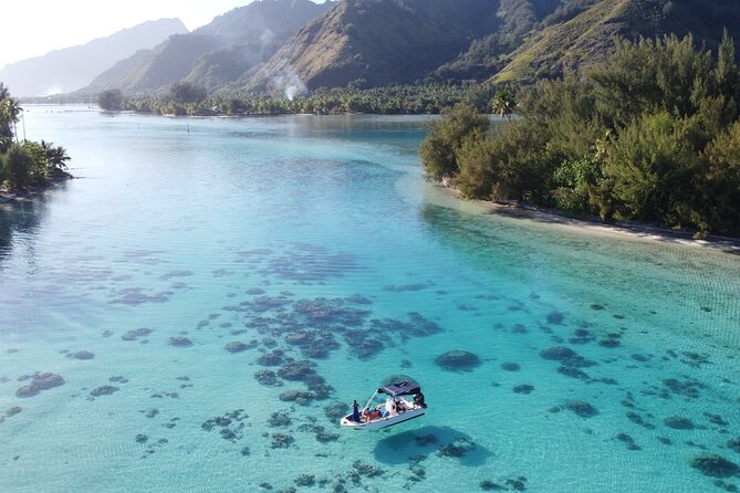 Mo'orea Half Day Private Tour with Snorkeling and Cruising the Lagoon - The coral garden and a simple refreshment stop