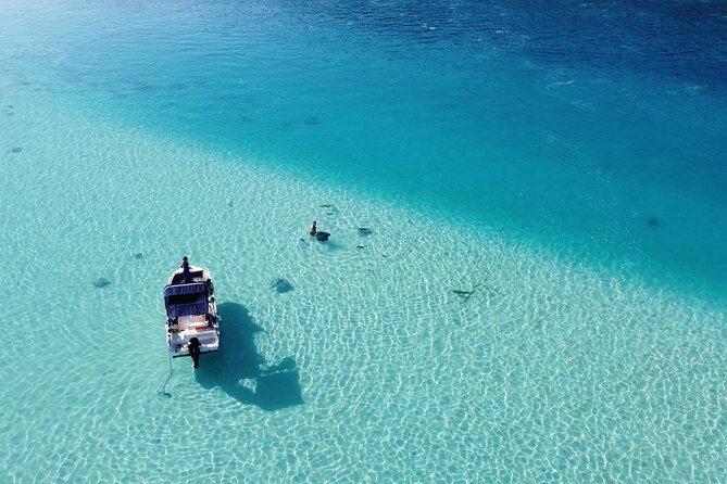 Mo'orea Half Day Private Tour with Snorkeling and Cruising the Lagoon - Private pricing and who gets the best value
