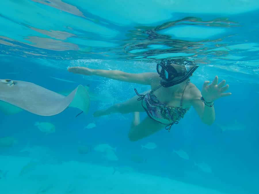 Moorea 4H Shared Boat Tour Whale Swimming and Snorkeling - Is $259 a fair price?