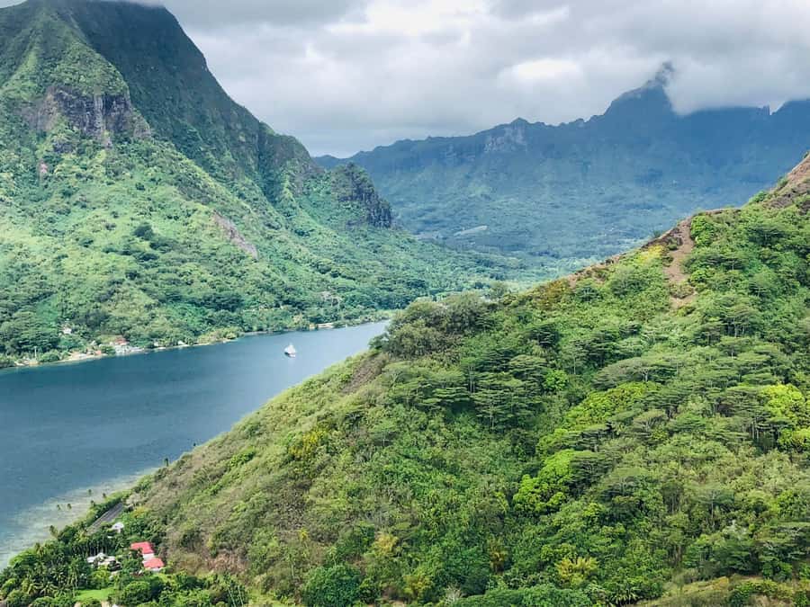 Moorea:4X4 safari excursion between land and sea with lunch - Belvedere connects Cook’s Bay and Opunohu Bay