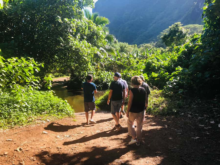 Moorea:4X4 safari excursion between land and sea with lunch - Culture, music, and the value of a small group
