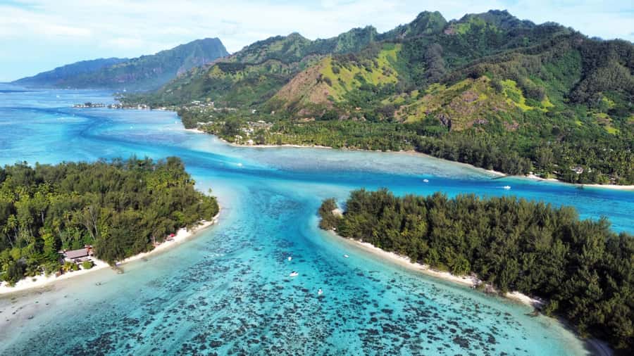 MOOREA 6H Private boat tour whales watching and Lunch - What the $1,530 price really buys