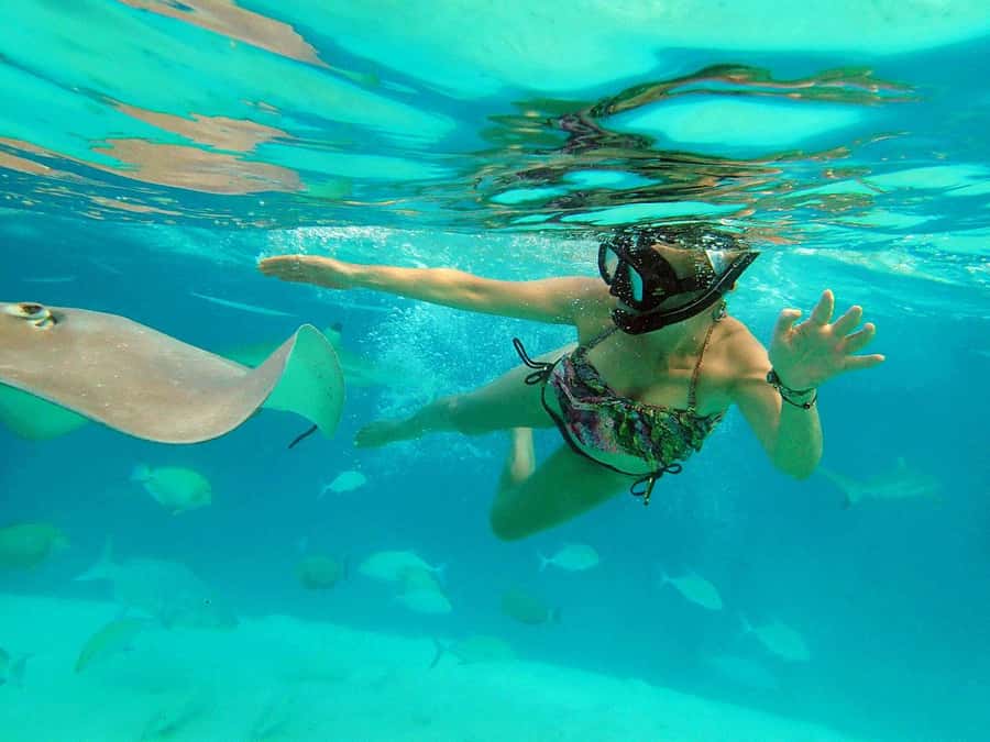 MOOREA 6H Private boat tour whales watching and Lunch - Setting out with Ariki Tours
