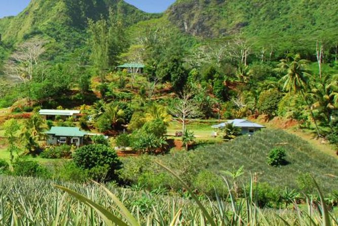 Moorea Aito 4WD Safari Tour - Half day - Belvedere Lookout and the two great bays