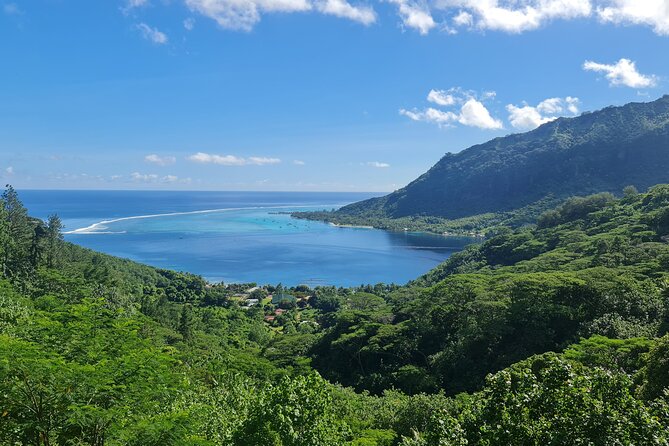 Moorea Aito 4WD Safari Tour - Half day - Is $64.98 a fair price?
