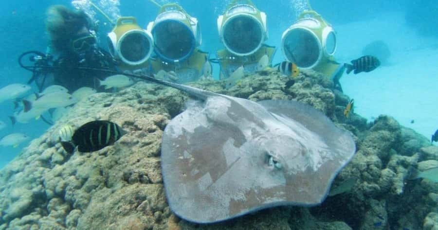 Moorea: Aquablue Helmet Underwater Walking Experience - What the Aquablue helmet walk is really like