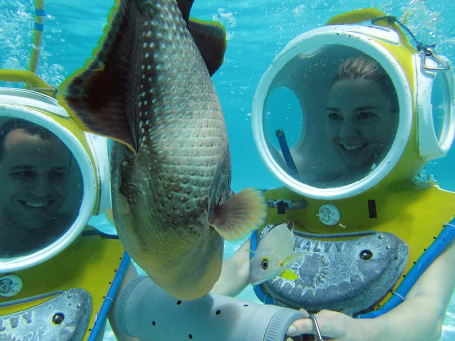 Moorea: Aquablue Helmet Underwater Walking Experience - A family outing with clear limits
