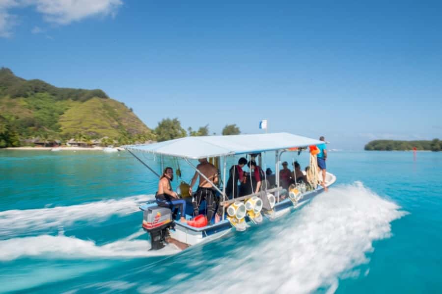 Moorea: Aquablue Helmet Underwater Walking Experience - From pickup to the Intercontinental Moorea Resort
