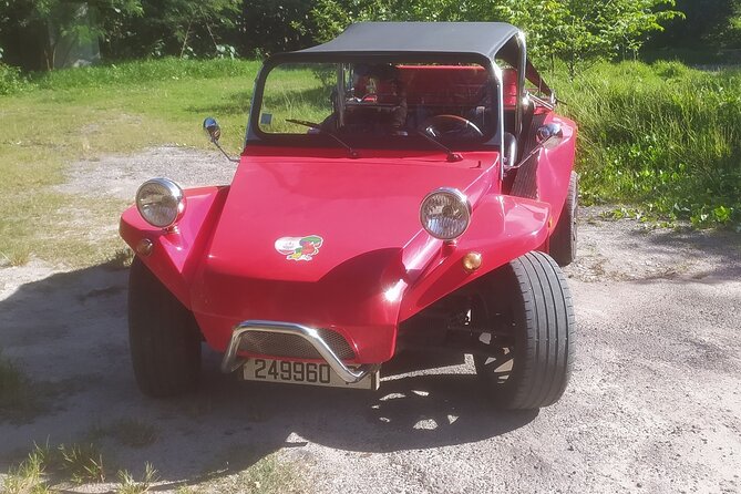 Moorea Buggy Rental - Key things to know before you book
