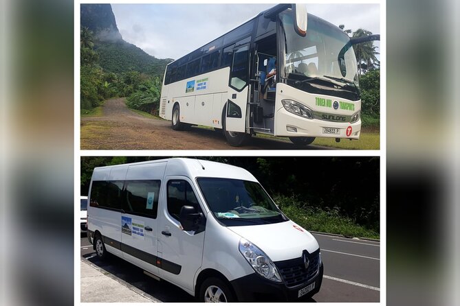 Moorea Buggy Rental - Beaches, lagoon stops, and sunset