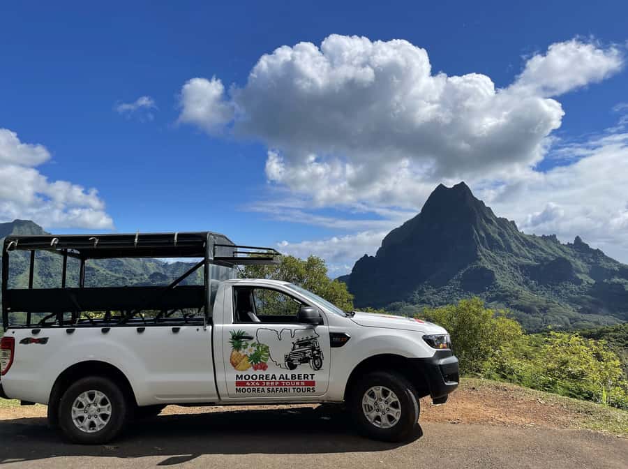 Moorea Cruise Ships: 4x4, Belvedere,Magic Mountain pineaple - Who should book this excursion?