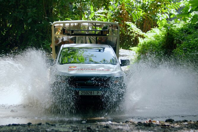 Moorea Cruise Ships: 4x4, Belvedere,Magic Mountain pineaple - Why this four-hour Moorea tour works