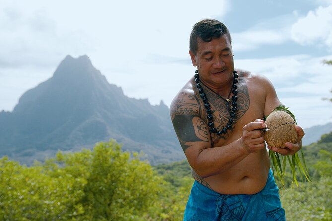 Moorea Cruise Ships: 4x4, Belvedere,Magic Mountain pineaple - Pineapple fields and a taste of Moorea