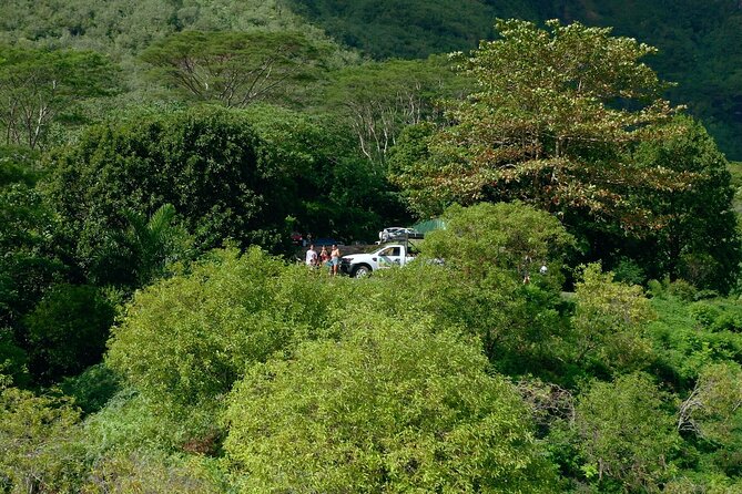 Moorea Cruise Ships: 4x4, Belvedere,Magic Mountain pineaple - A marae and Moorea’s Polynesian past