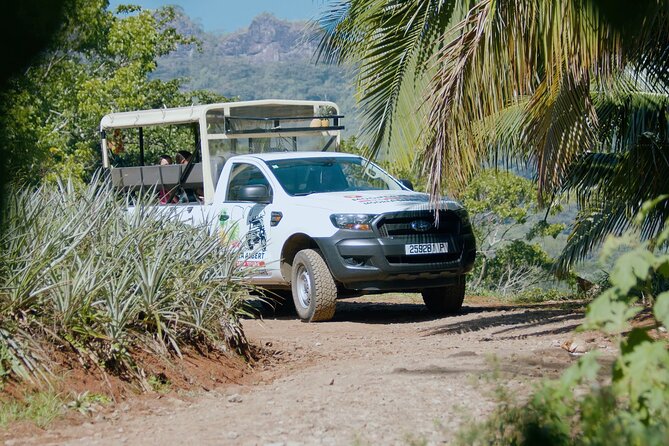 Moorea Cruise Ships: 4x4, Belvedere,Magic Mountain pineaple - Is $72.88 a fair price?