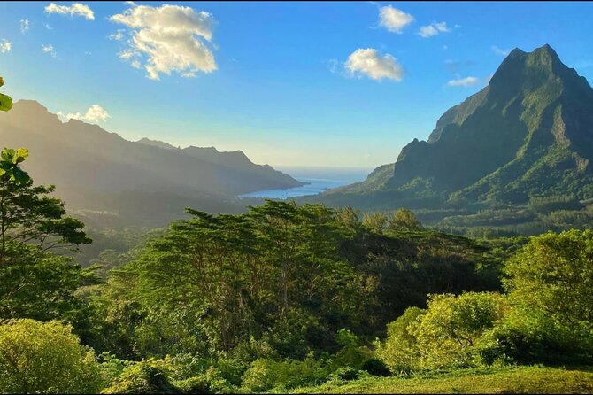 Moorea Cruise Ships: 4x4, Belvedere,Magic Mountain pineaple - From the cruise terminal to Opunohu Bay