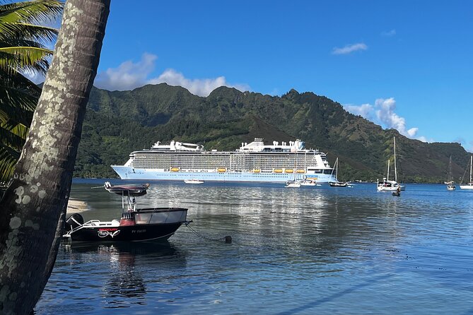 Moorea Cruise Ships: 4x4, Belvedere, Pineapple, & Magic Mountain - The ride is part of the attraction, and part of the risk
