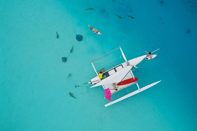 Moorea Discovery Half-day Sailing - Key points at a glance