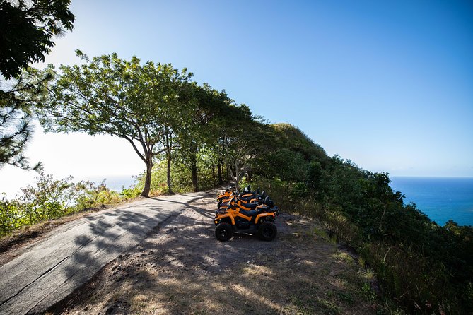 Moorea Explorer Atv Quad Tour - What the guides add to the experience