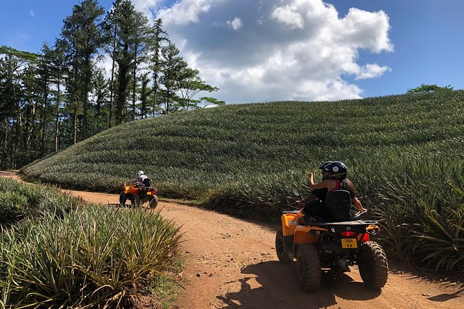 Moorea Explorer Atv Quad Tour - Group size, timing, and pickup details