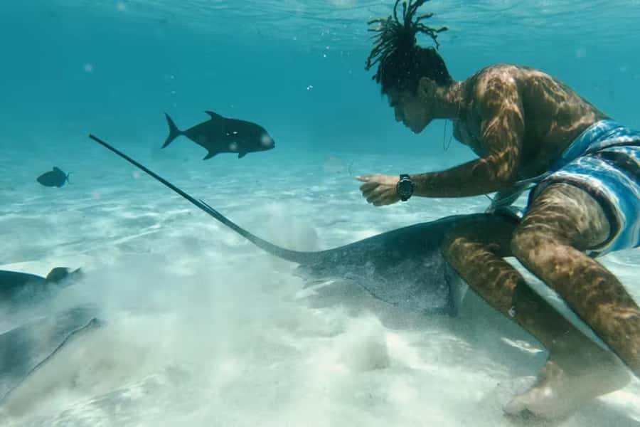 Moorea: Glass Bottom Boat Adventure with Lagoon Wonders - Why this Moorea boat tour feels different