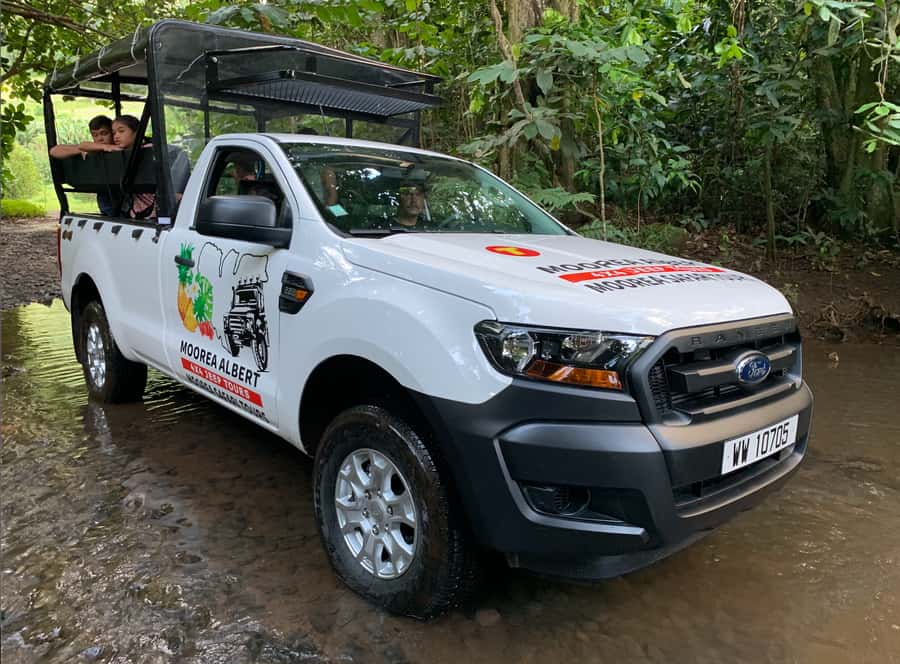 Moorea: Half-Day Open-Air 4WD Safari with Hotel Transfers - How much value do you get for $70?