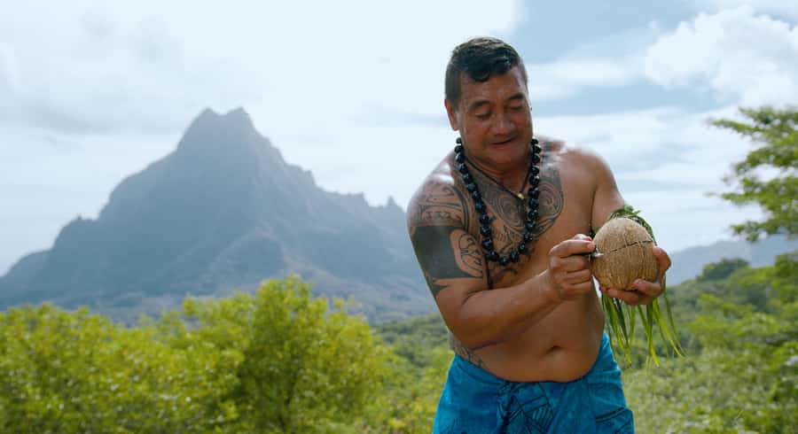 Moorea: Half-Day Open-Air 4WD Safari with Hotel Transfers - What this Moorea safari actually feels like