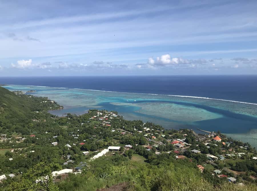 Moorea: Half-Day Open-Air 4WD Safari with Hotel Transfers - Fruit liqueurs and Manutea-style tasting