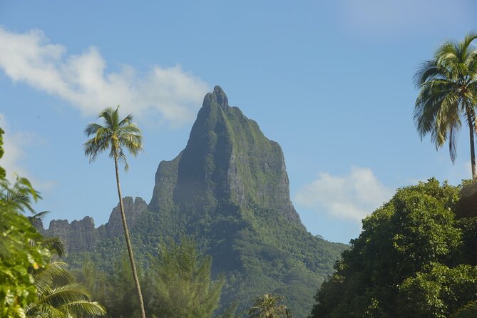 Moorea Highlights Private Tour: Natural and Cultural Attraction - Key points to know before booking