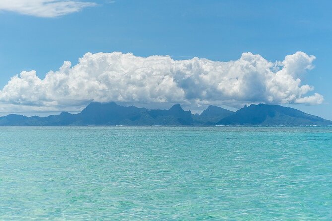 Moorea Highlights Private Tour: Natural and Cultural Attraction - A slower moment at Moorea Tropical Garden