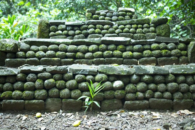 Moorea Highlights Private Tour: Natural and Cultural Attraction - Starting at Toatea Lookout