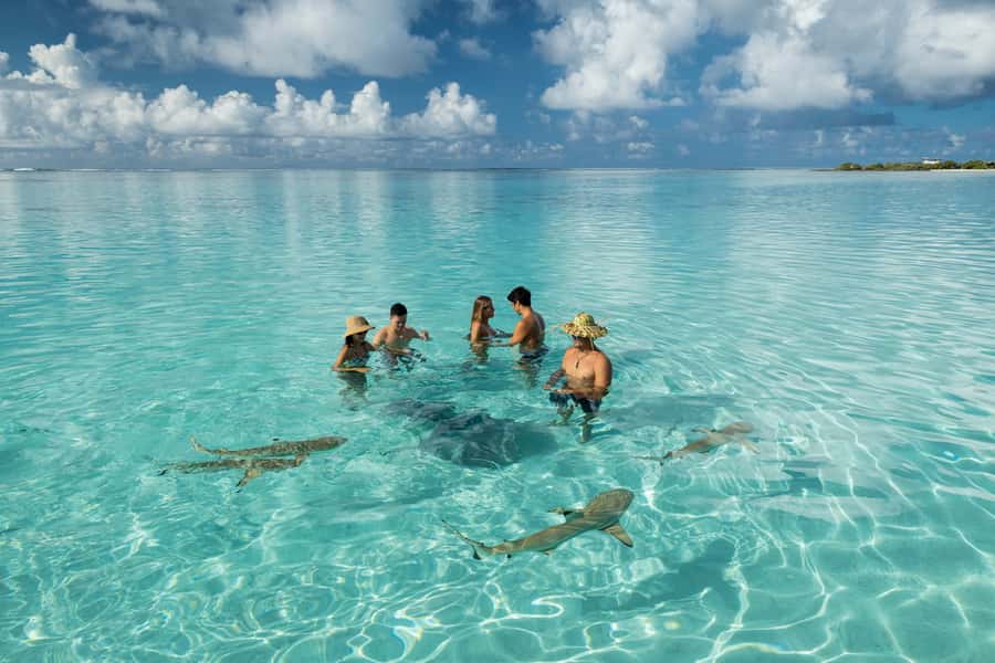 Moorea Highligts: Blue Lagoon Shore Attractions and Lookouts - Is $950 a fair price for six hours?