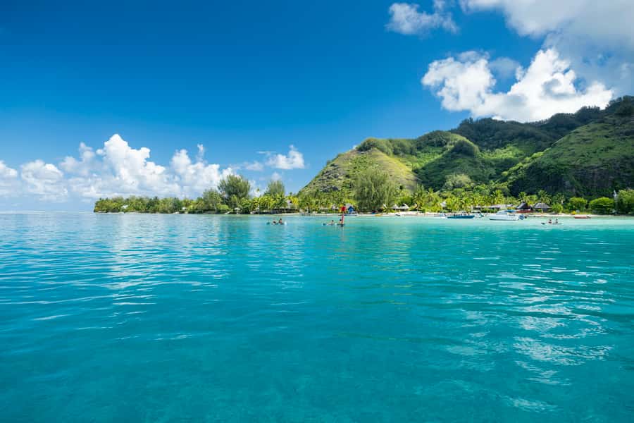 Moorea Highligts: Blue Lagoon Shore Attractions and Lookouts - Cook’s Bay and Moorea’s pineapple road