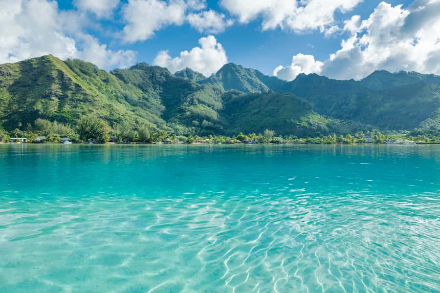 Moorea Highligts: Blue Lagoon Shore Attractions and Lookouts - Vanilla, lagoon views, and local jam