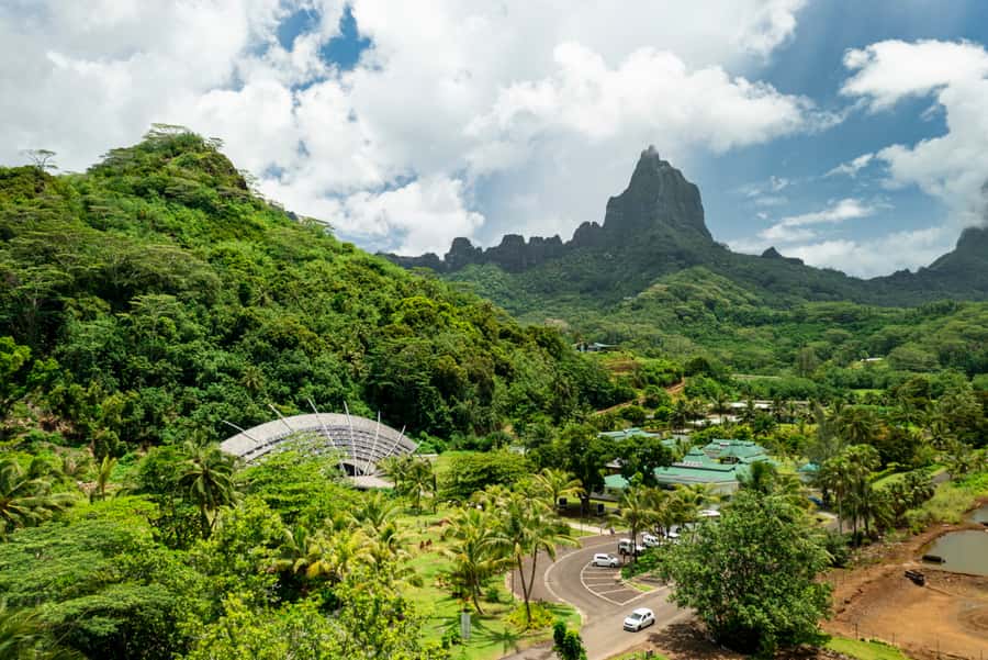 Moorea Highligts: Blue Lagoon Shore Attractions and Lookouts - Lunch at Hotel Les Tipaniers