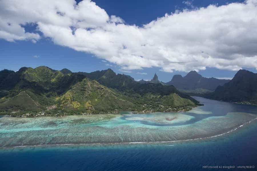 Moorea Highligts: Blue Lagoon Shore Attractions and Lookouts - Tropical drinks at the Rotui Juice Factory
